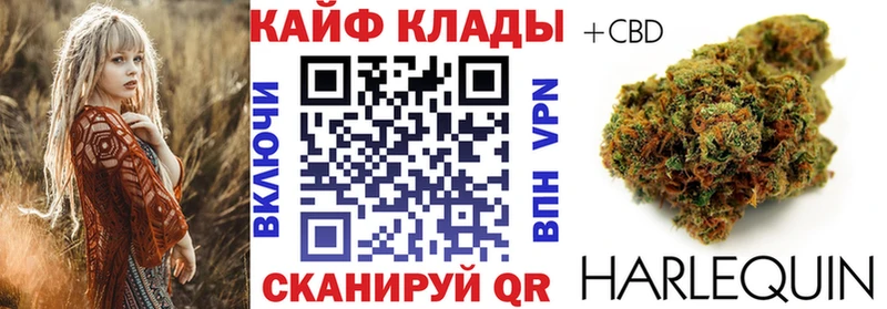 Где купить наркоту Кудрово MDMA Меф Альфа ПВП АМФ МАРИХУАНА Кокаин