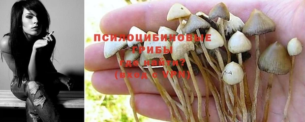индика Белоозёрский