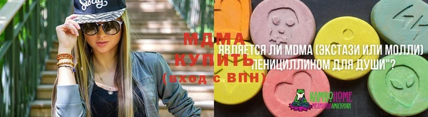 индика Белоозёрский
