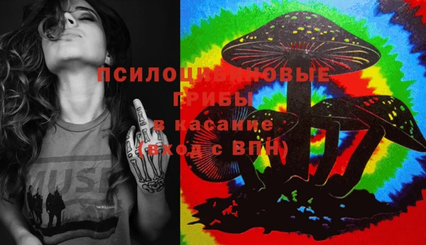 индика Белоозёрский