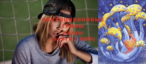 индика Белоозёрский