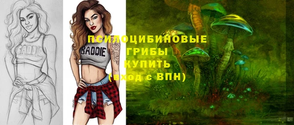 apvp Беломорск