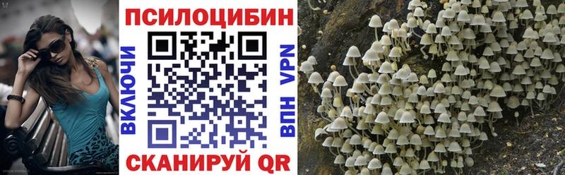 Галлюциногенные грибы ЛСД  где найти наркотики  Кудрово 