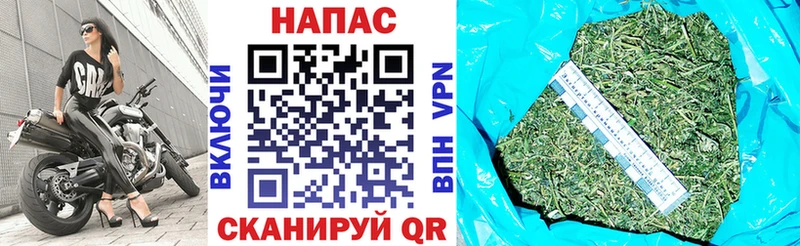 магазин    Кудрово  Каннабис AK-47 
